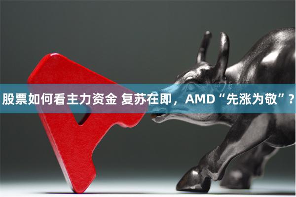 股票如何看主力资金 复苏在即，AMD“先涨为敬”？