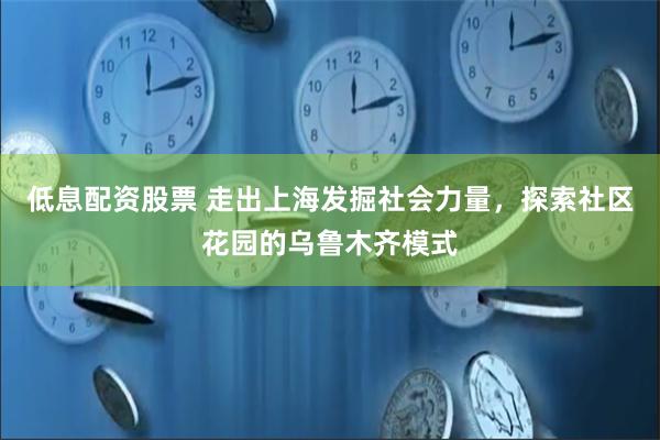 低息配资股票 走出上海发掘社会力量，探索社区花园的乌鲁木齐模式