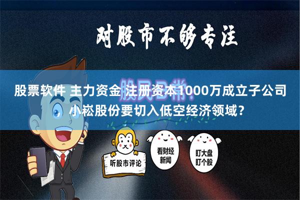 股票软件 主力资金 注册资本1000万成立子公司，小崧股份要切入低空经济领域？