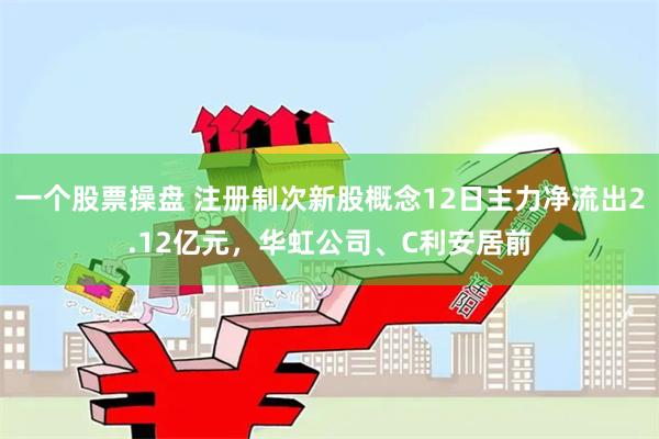 一个股票操盘 注册制次新股概念12日主力净流出2.12亿元，华虹公司、C利安居前