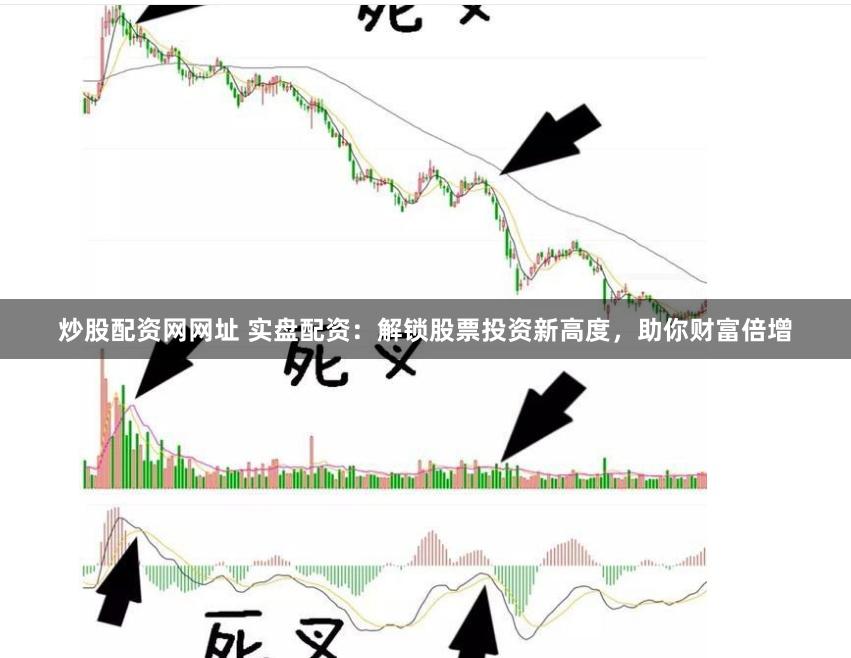 炒股配资网网址 实盘配资：解锁股票投资新高度，助你财富倍增