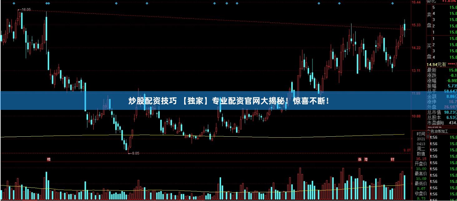 炒股配资技巧 【独家】专业配资官网大揭秘！惊喜不断！