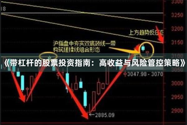 《带杠杆的股票投资指南：高收益与风险管控策略》
